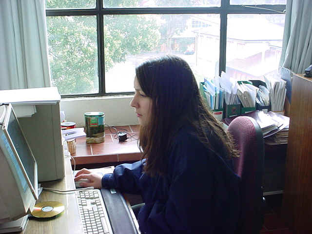 Dsc00007.jpg (152055 bytes)